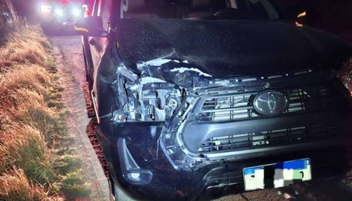 515502282_1195631639247313_8586406573862609036_n