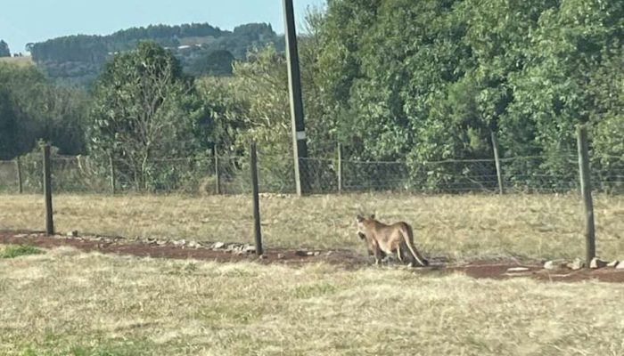 518348228_1142316541254189_2238768478322902577_n