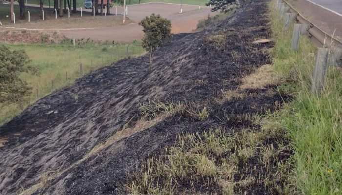 51F28904-B2AD-4CE8-8DDF-2ED2D7FBC357