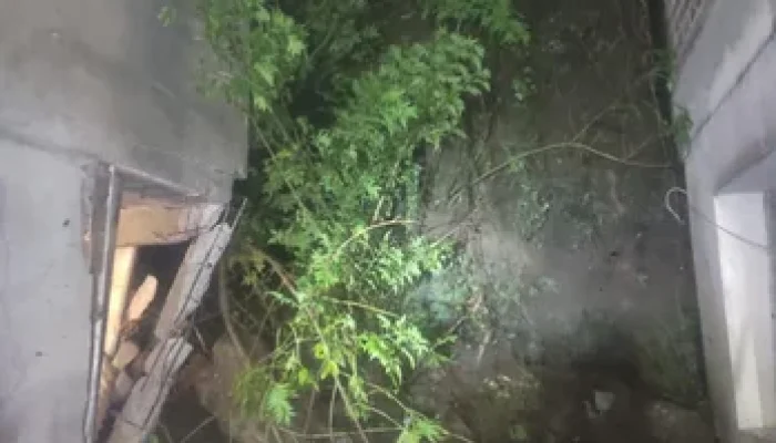 5231580_ceb2c63d22523e0