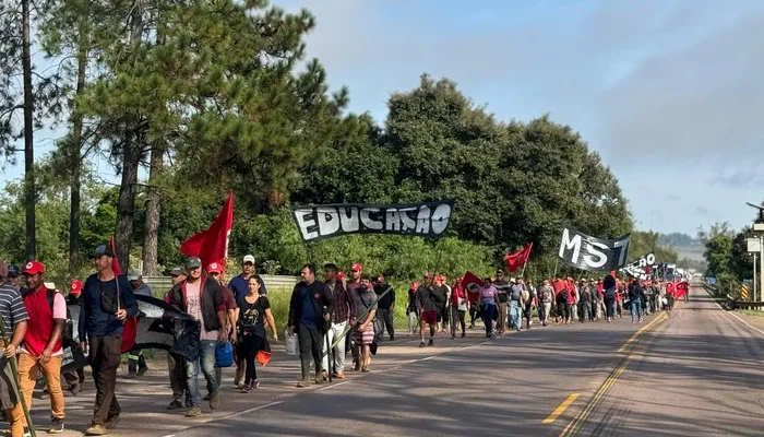 5239229_79db81562dfed61