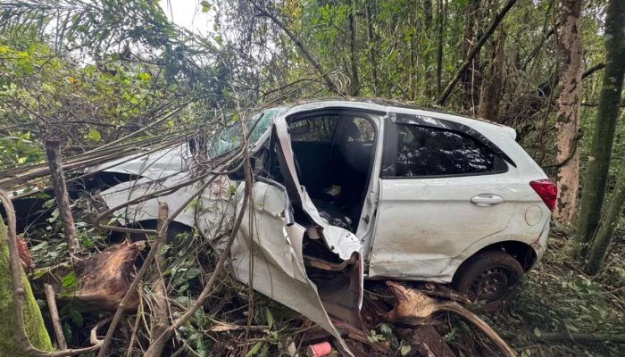 528452898_1157848243034352_4241862261083484119_n