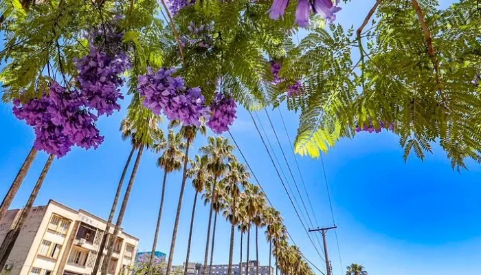 54137925540_6a815bdff0_c