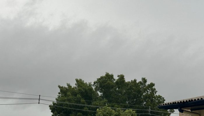 55667a35-7b81-4715-82cf-416e7ab2f865