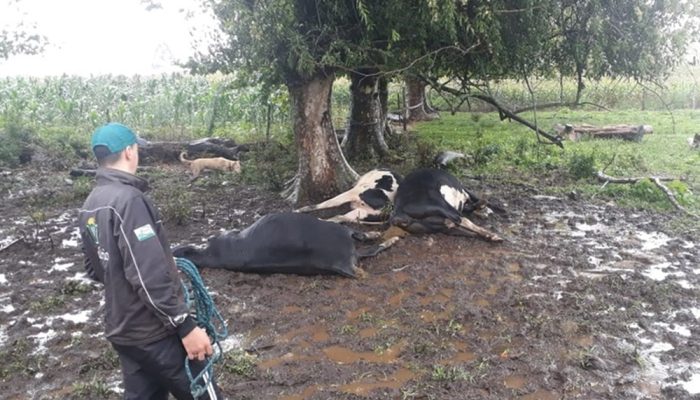 57811b7362802d5be8ac90c8a9b93697