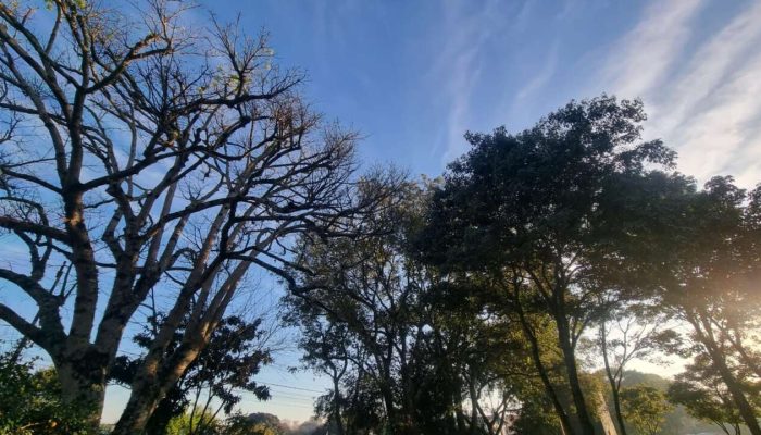 5cbd24d6-d9f7-47b5-8de1-ff4561c7f909