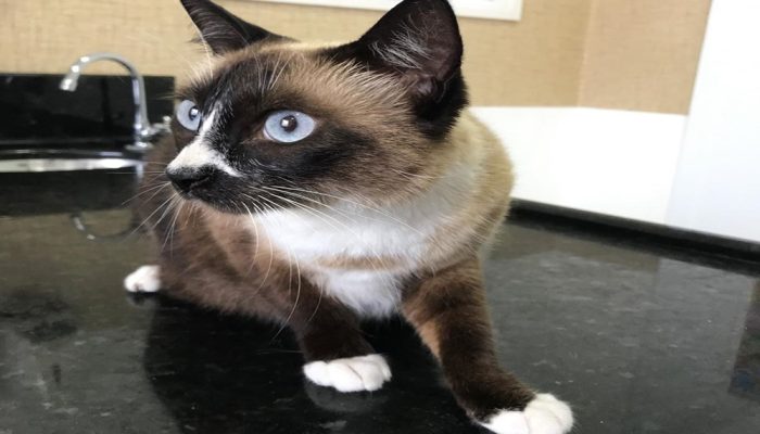 5f92d372e8259cb13a154d540109a8ae