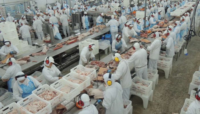 6155949b946c88.38660409