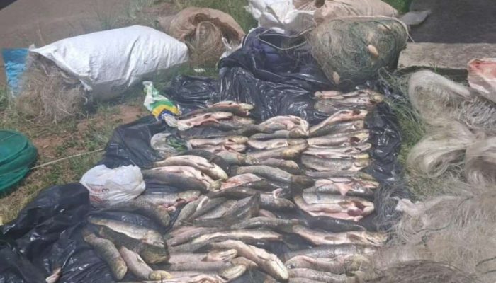 622433140_1297180169101158_8247260824268143637_n (1)