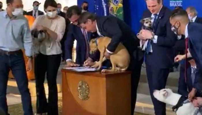 638db1b37da7b809bd89864293bbdac1