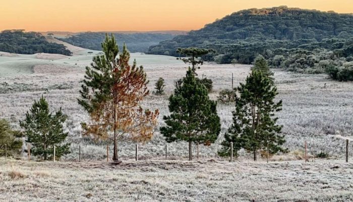 Alexandre Pinto/MetSul/Arquivo