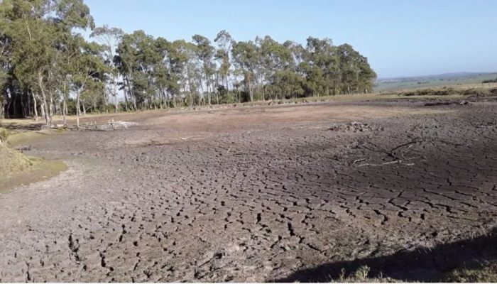 65DFC33E-4CCD-4A0F-B561-82E48E099FB9