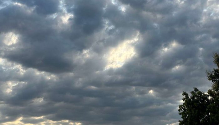 693905d5-5070-4937-9e15-e53371141c26