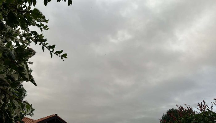 6AF624B3-B78B-416E-AF97-56F80738E65A