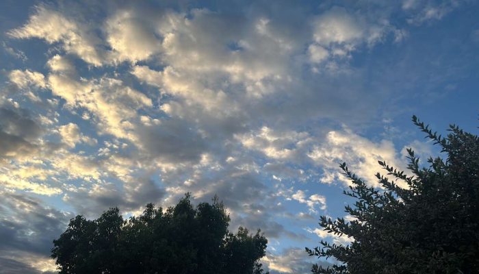 6D350C04-230C-46A9-9700-46934AD4487F