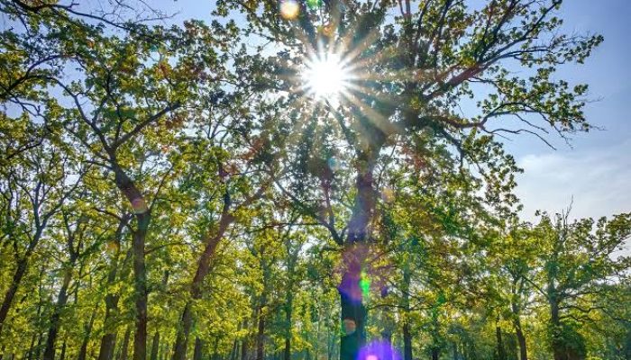 6ECF20F4-44F0-4165-BFD3-6434B201A3F0