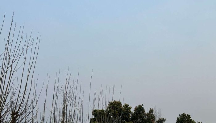 6da296f6-1035-4d40-ab0c-547eb9c1b2ea