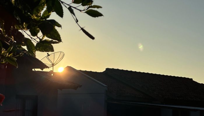 6e9a463a-2cfc-4588-8719-08e593636e62