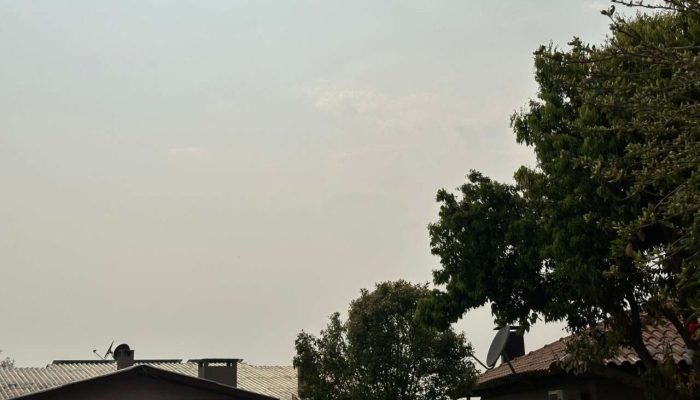 6f7eb085-861f-4611-8071-c8164615ffe9