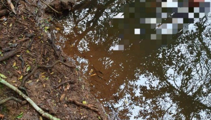 700x0_1568329316_1946941346