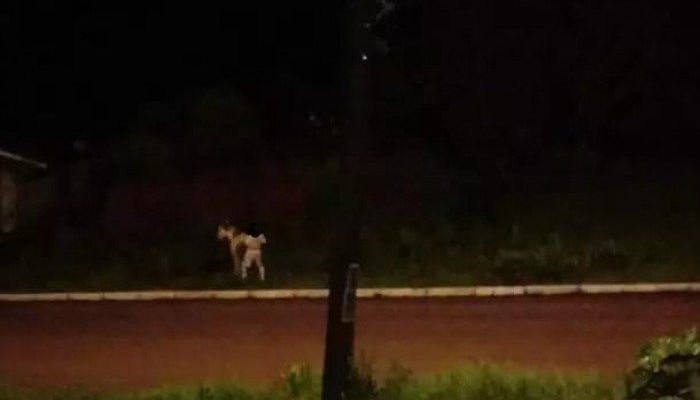 700x0_1611057701_1941108529