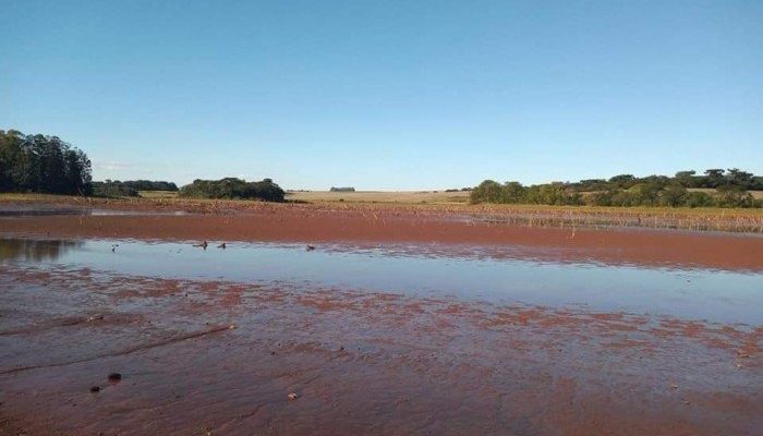 700x0_1619124276_416400930