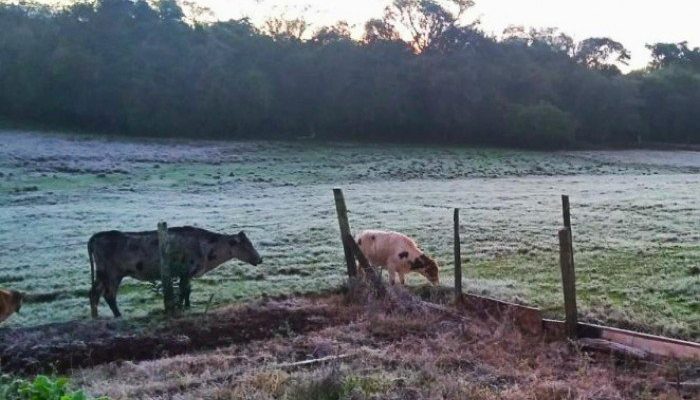 700x0_1627407027_1162439004