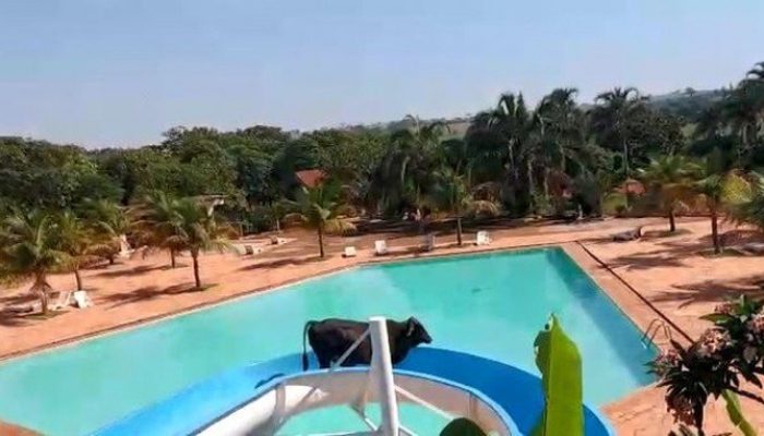 700x0_1636384456_1099389992