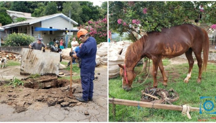 700x0_direita_baixo_1606832166_2097209939