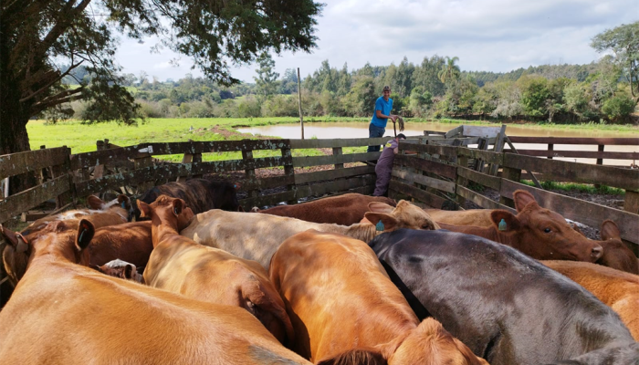 70c22cfe-42aa-4304-9197-011555376022_Zoom