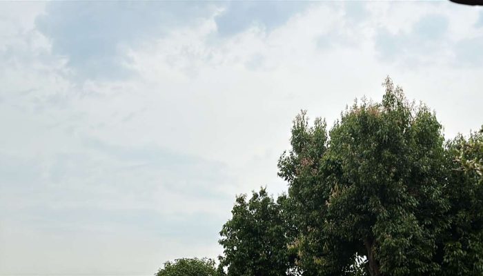 754C7A32-B662-4D80-9F4F-DCBA439421A9