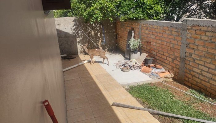 79837115-8D39-4EF0-9B82-8CA33C5EB501