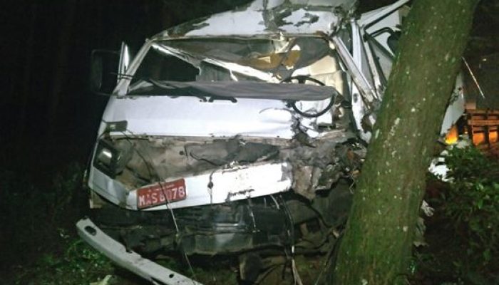 7b371e84-c0c7-4e38-a885-78ce4579af75 (1)