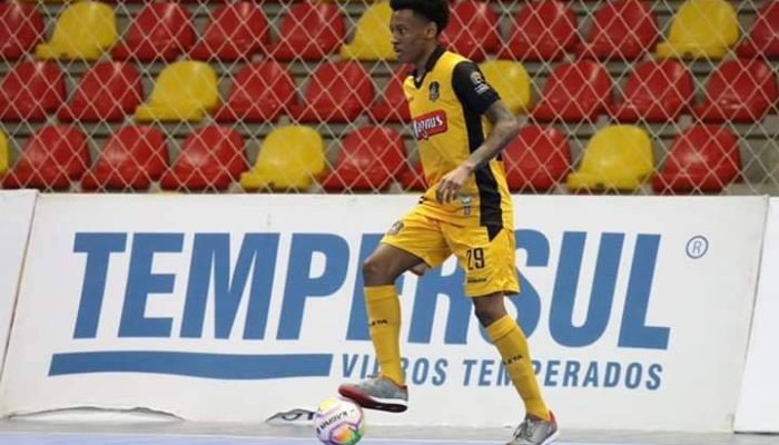 83652091_2649952615102655_7984907110267748352_n