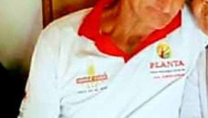 83838185_1469845523171674_4217968075800051712_n