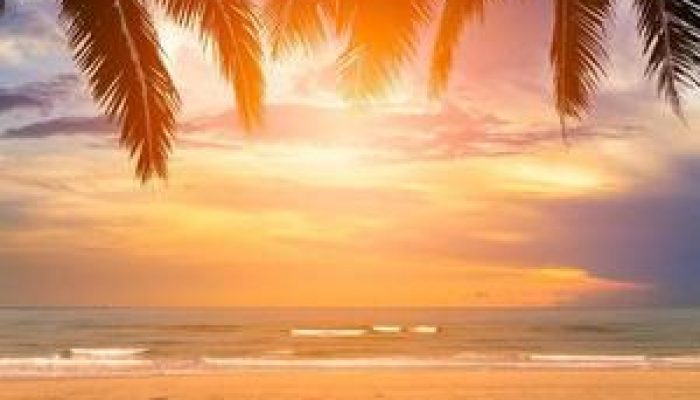 8452407-belo-por-do-sol-sobre-o-mar-com-coqueiro-no-horario-de-verao-foto