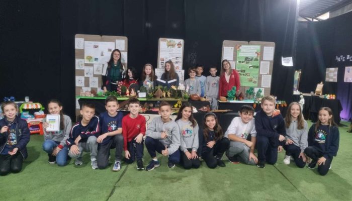 8774d5ad-c9ce-4102-ab94-9a7ba65c6ed0