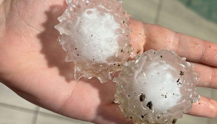 877fcb2e-ea58-4ab9-922a-b7929d68abe5