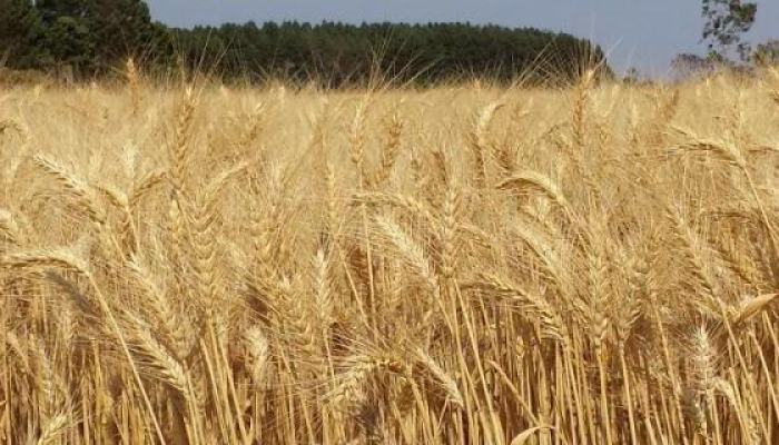 8E9B546B-332A-481C-99BB-8F573D4CEF69