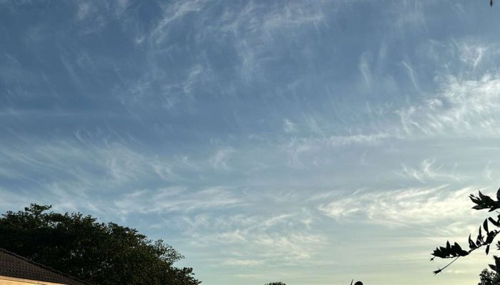 8ea532b1-7fd9-481b-a86b-7e62d62d8434