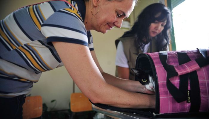 Marcelo Camargo/Agência Brasil