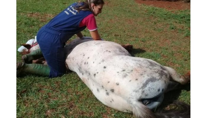 90ccd88b1eaf1ec8d3b7f53c655433c0