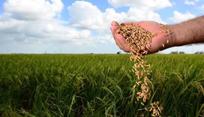 92EE63F6-6CD1-44F9-8215-BEC5BF0B1273