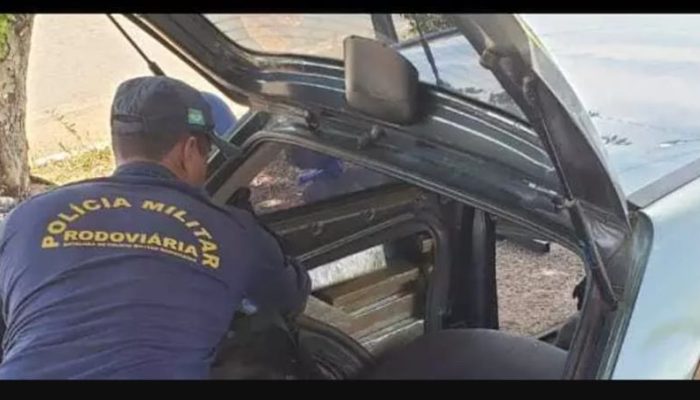 95664826_1548110065345219_9116675956776370176_o