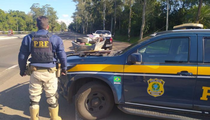 98455033-e4c2-4f26-8e49-93ffe104ceba