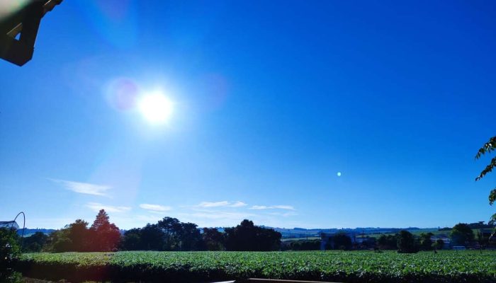 99ce5bea-1c40-402e-a6e7-1601f152259f