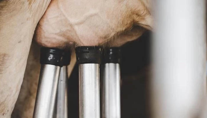 9CA8BB83-E831-44A9-8829-4430E553C8D8