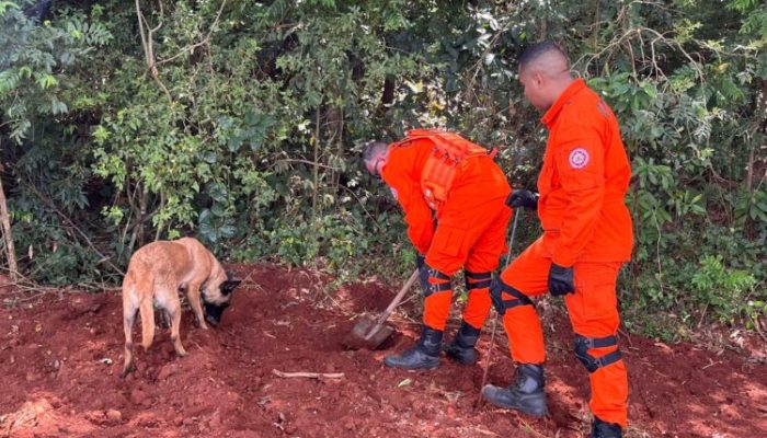 9E3F8728-4D47-40FB-8165-C3C4A8395BFC