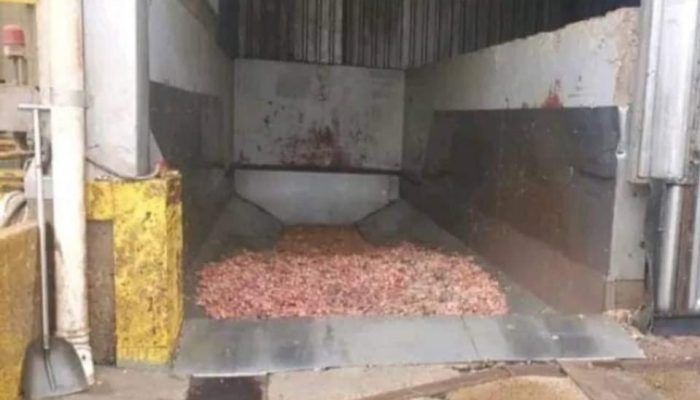 A36BD3B9-79F3-4F78-8E58-2717771FD2FB