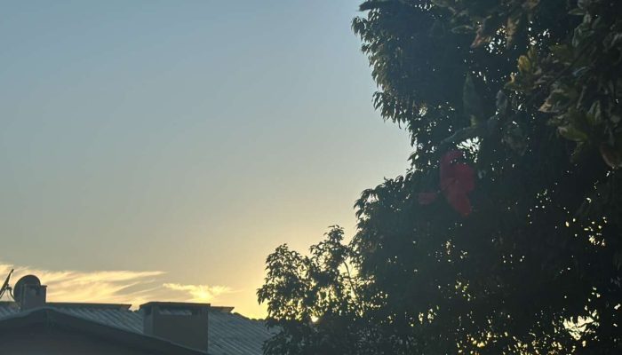 A7831DAD-497C-423E-B033-ED73D5D78D73